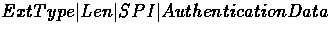 \( Ext Type \vert Len \vert SPI \vert Authentication Data \)