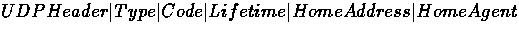 \( UDP Header \vert Type \vert Code \vert Lifetime \vert Home Address \vert Home Agent \)